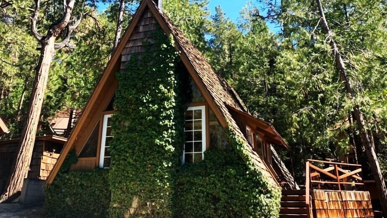 Photo of Others in Idyllwild