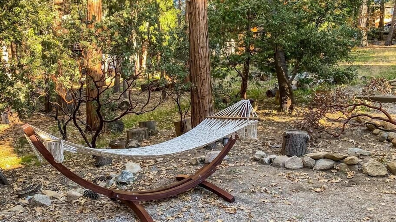 Photo of Others in Idyllwild