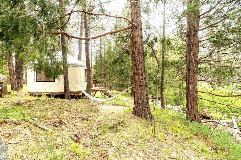 Photo of Outdoor in Idyllwild