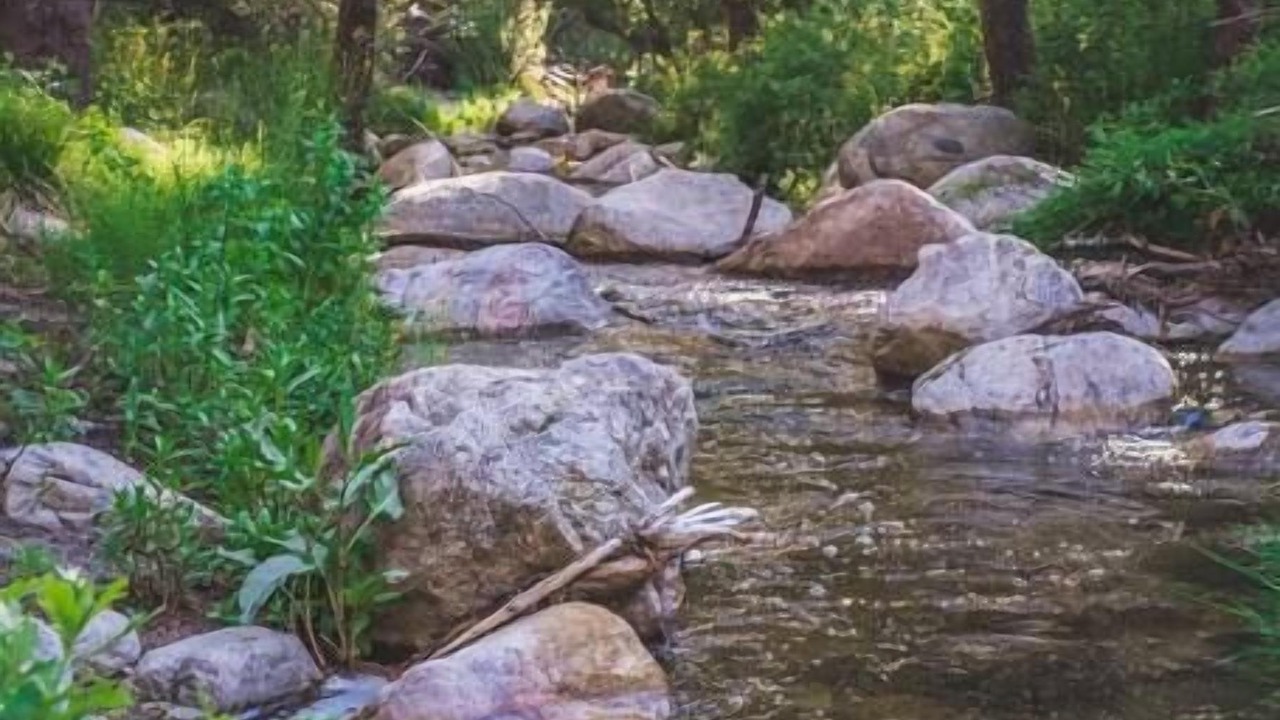 Photo of Others in Idyllwild
