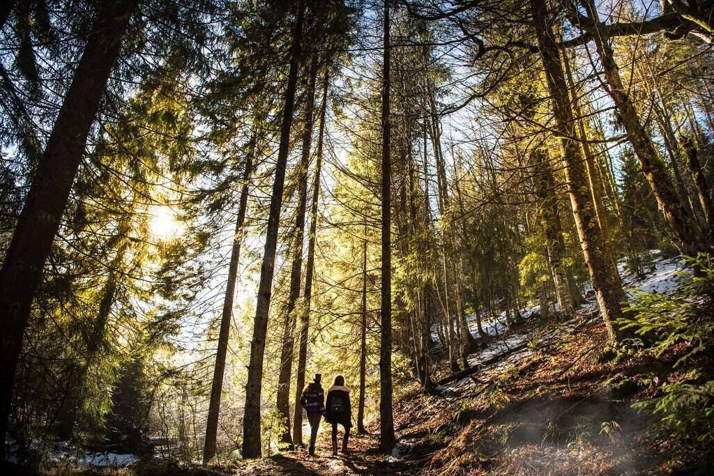Photo of Others in Idyllwild