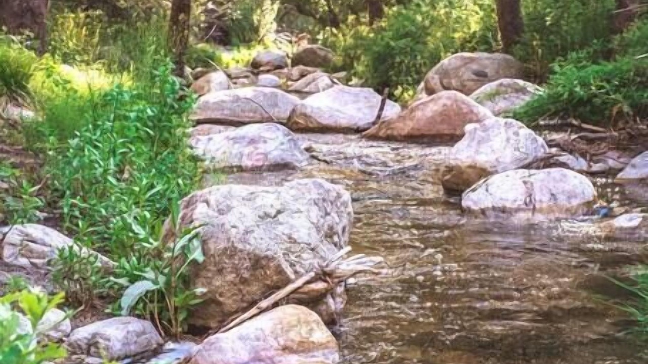 Photo of Others in Idyllwild