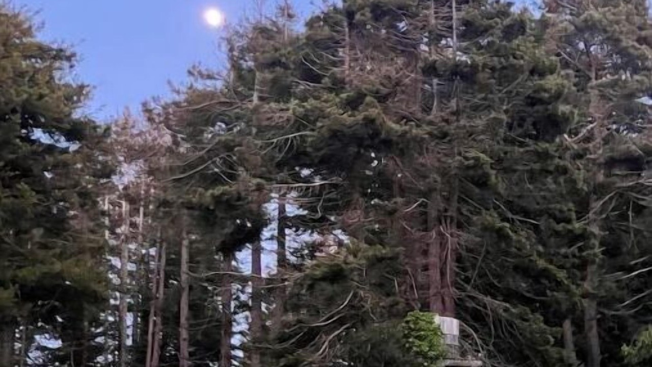 Photo of Outdoor in Cleone