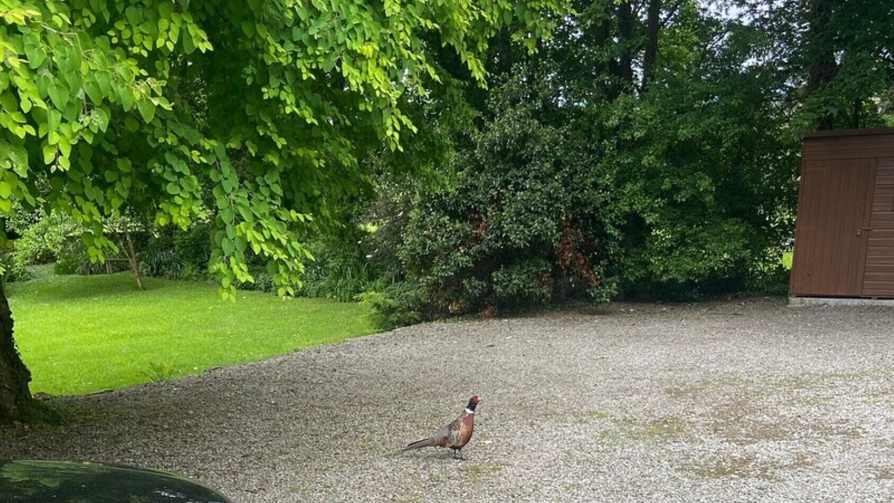 Photo of Outdoor in Brigsteer