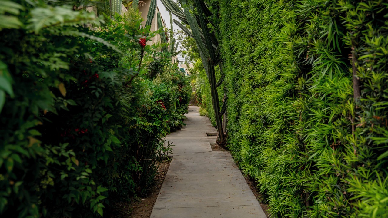 Photo of Outdoor in Valley Village