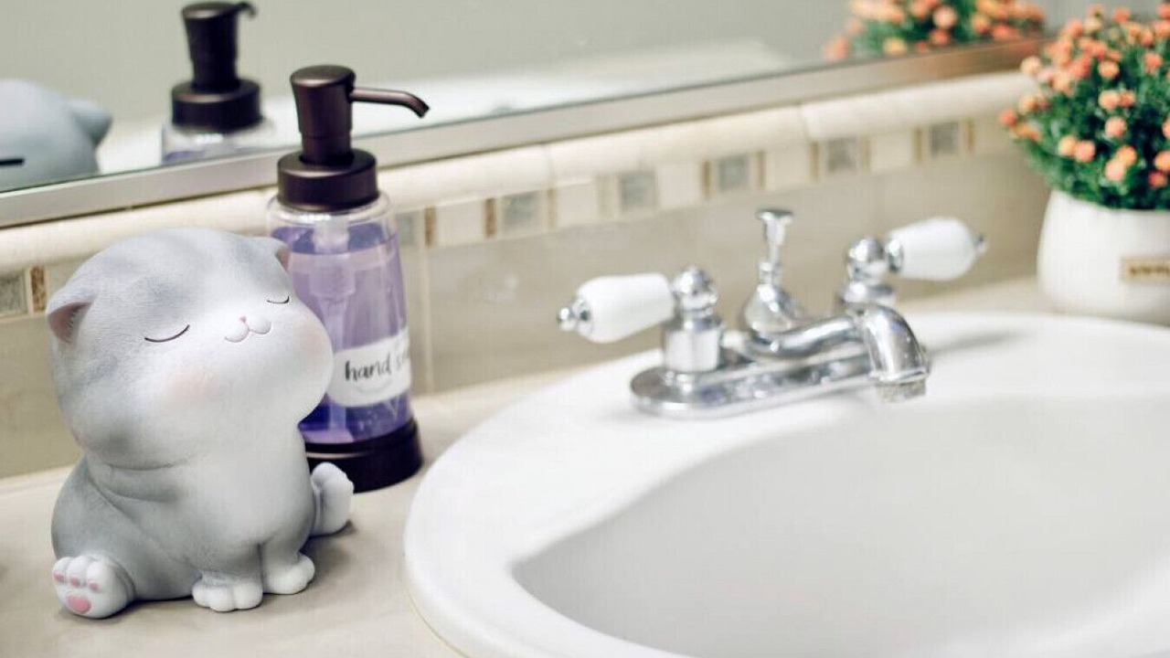 Photo of Bathroom in Chico