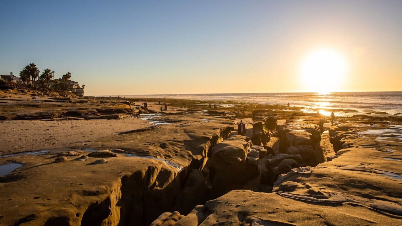 Photo of Others in Village of La Jolla