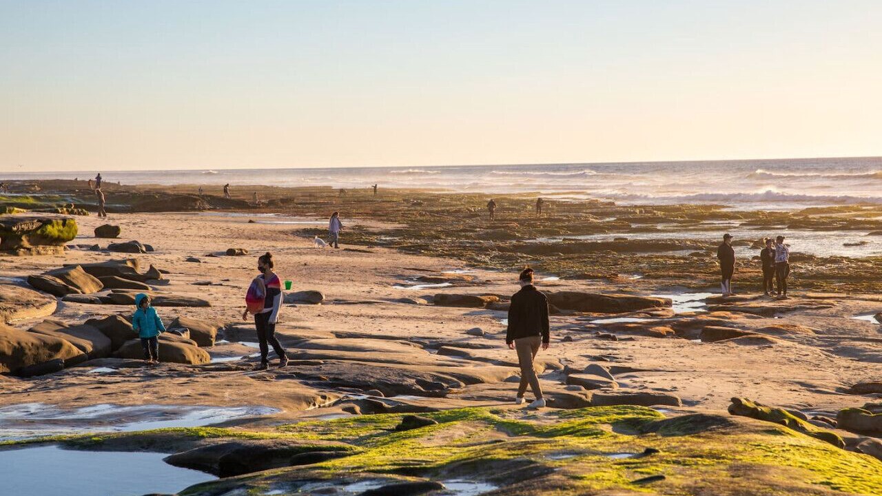 Photo of Others in Village of La Jolla
