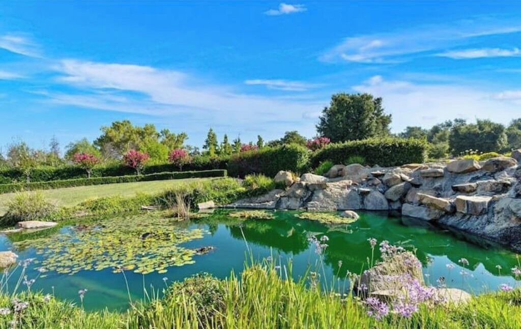 Photo of Outdoor in Murrieta
