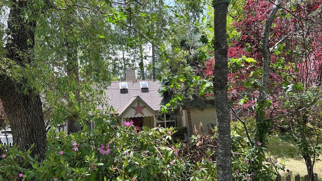 Photo of Outdoor in Twain Harte