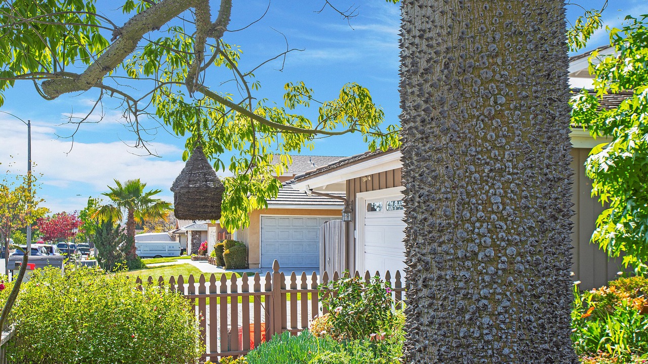Photo of Outdoor in Laguna Hills