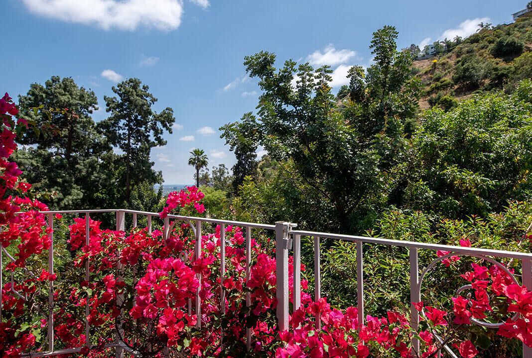 Photo of Outdoor in Hollywood Hills West