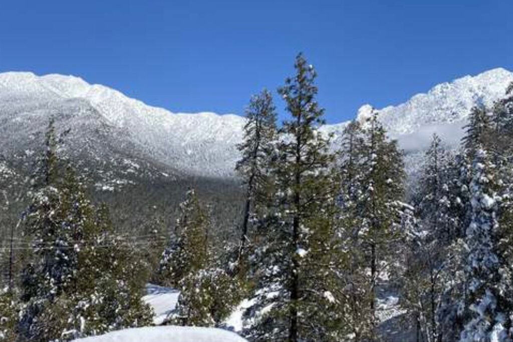 Photo of Others in Idyllwild