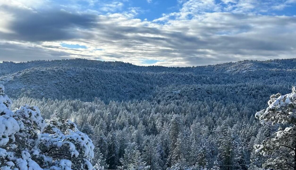 Photo of Others in Idyllwild
