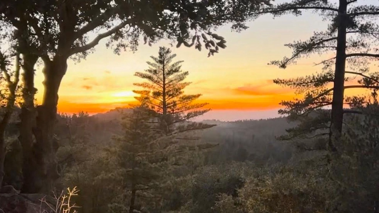 Photo of Outdoor in Idyllwild