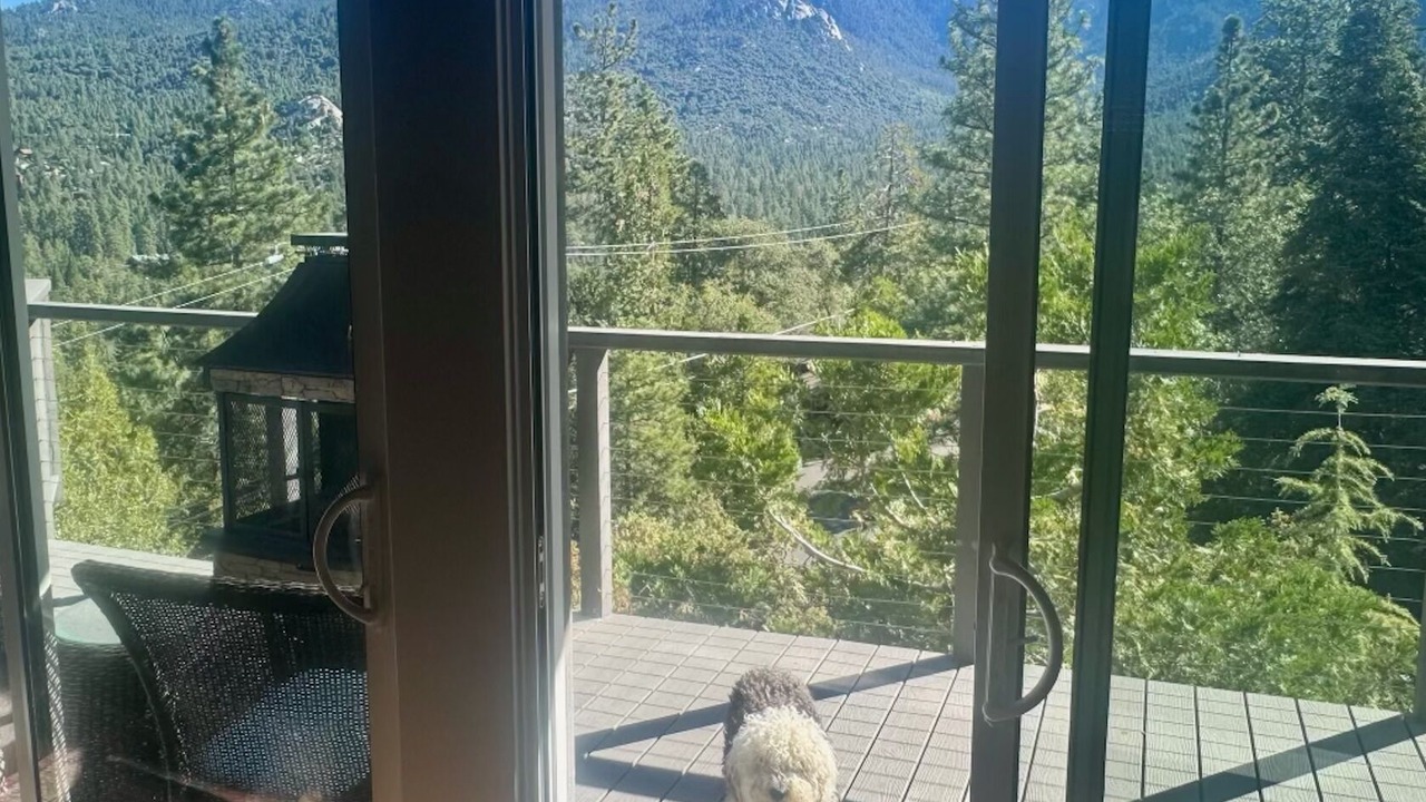 Photo of Outdoor in Idyllwild