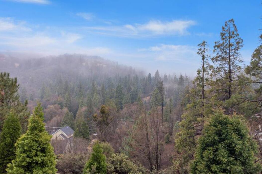 Photo of Outdoor in Cedar Glen