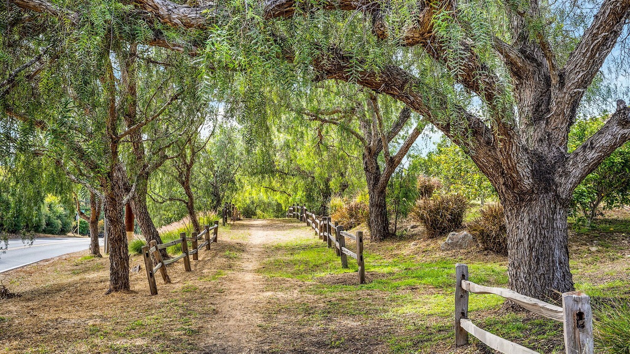 Photo of Outdoor in Escondido