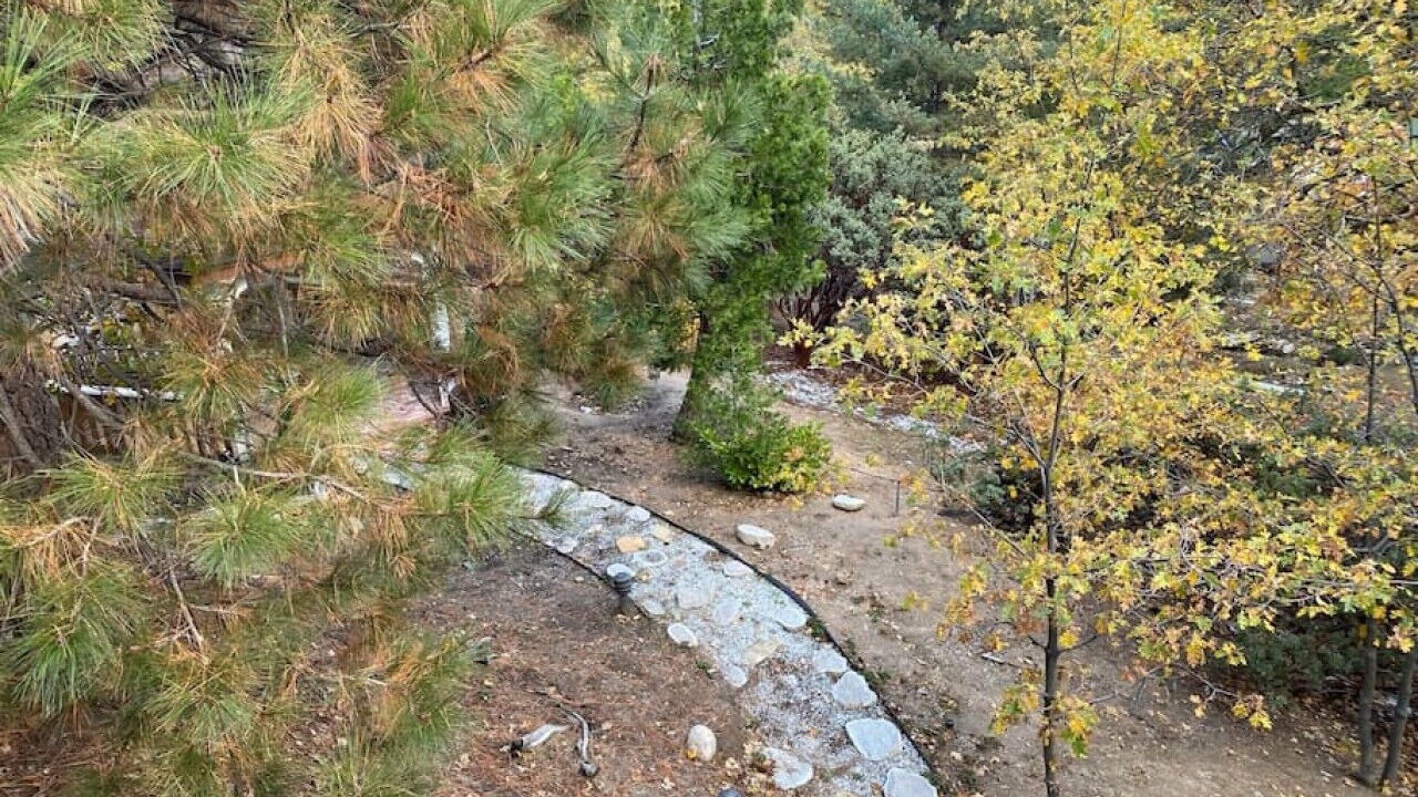 Photo of Outdoor in Twin Peaks