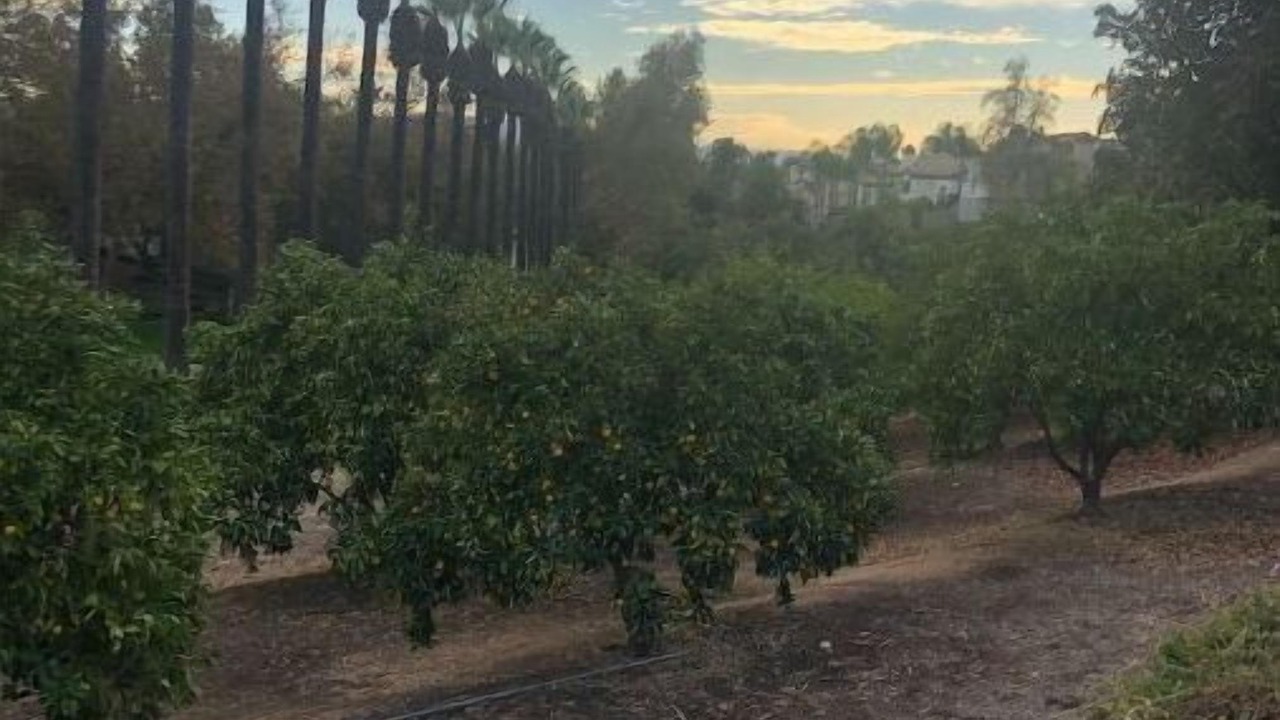 Photo of Outdoor in Highland