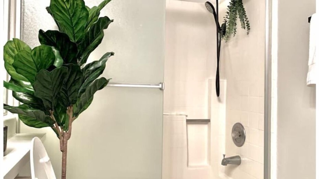 Photo of Bathroom in Valencia