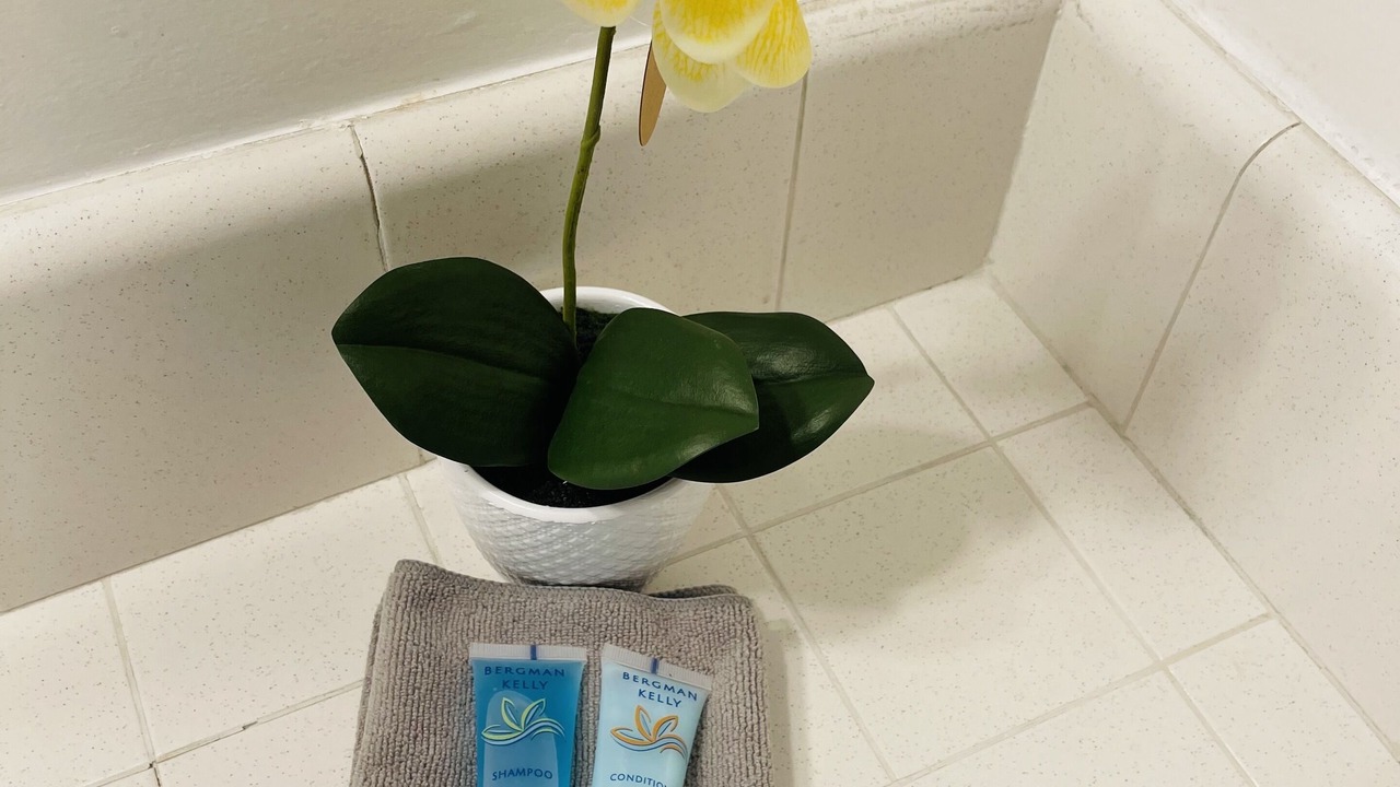 Photo of Bathroom in Sawtelle