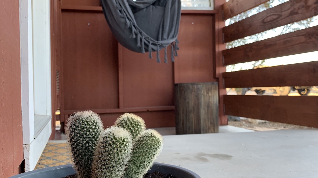 Photo of Outdoor in Joshua Tree