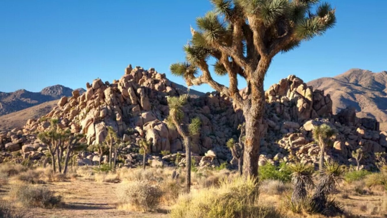 Photo of Outdoor in Rancho Mirage