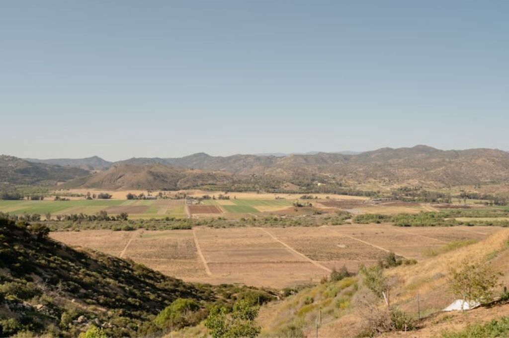 Photo of Others in Escondido