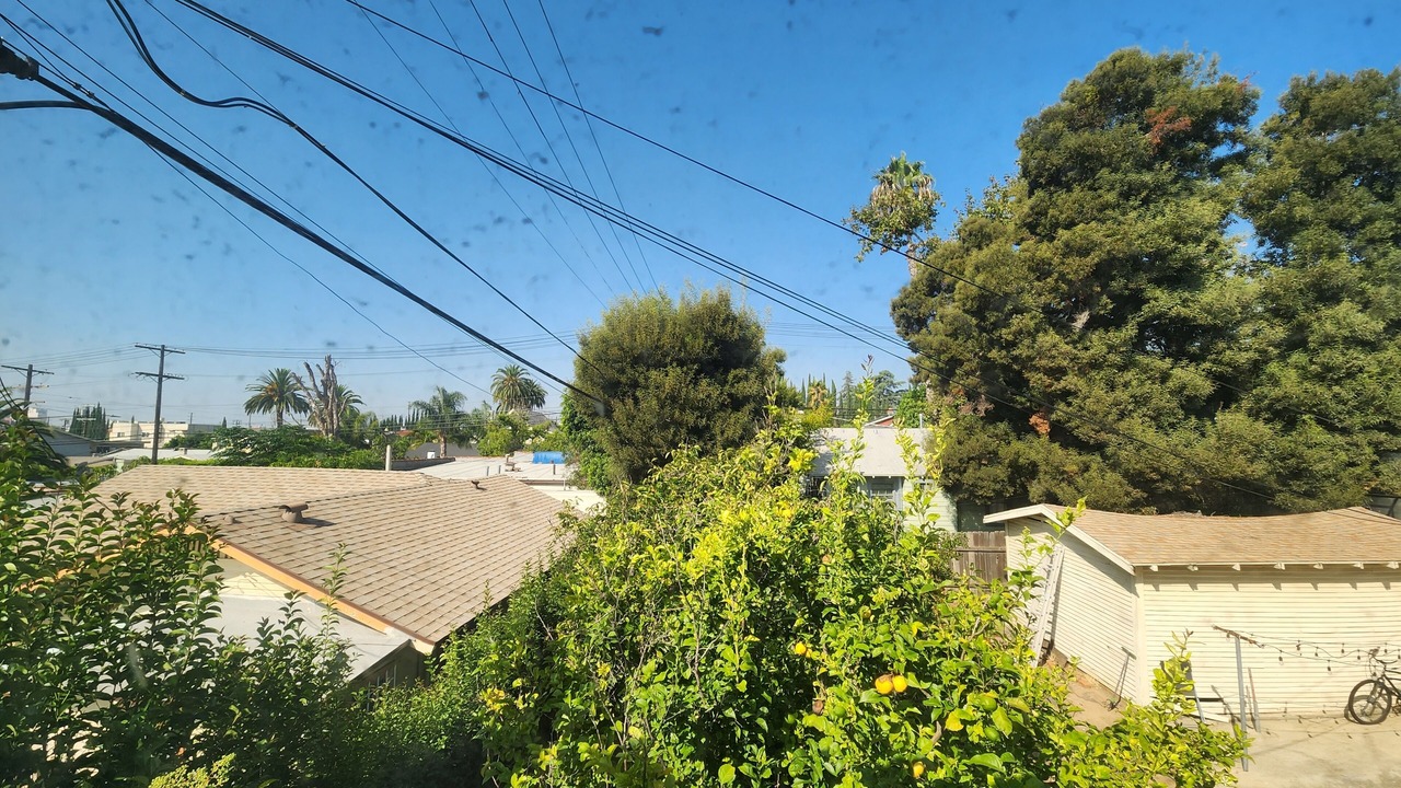 Photo of Others in Los Feliz
