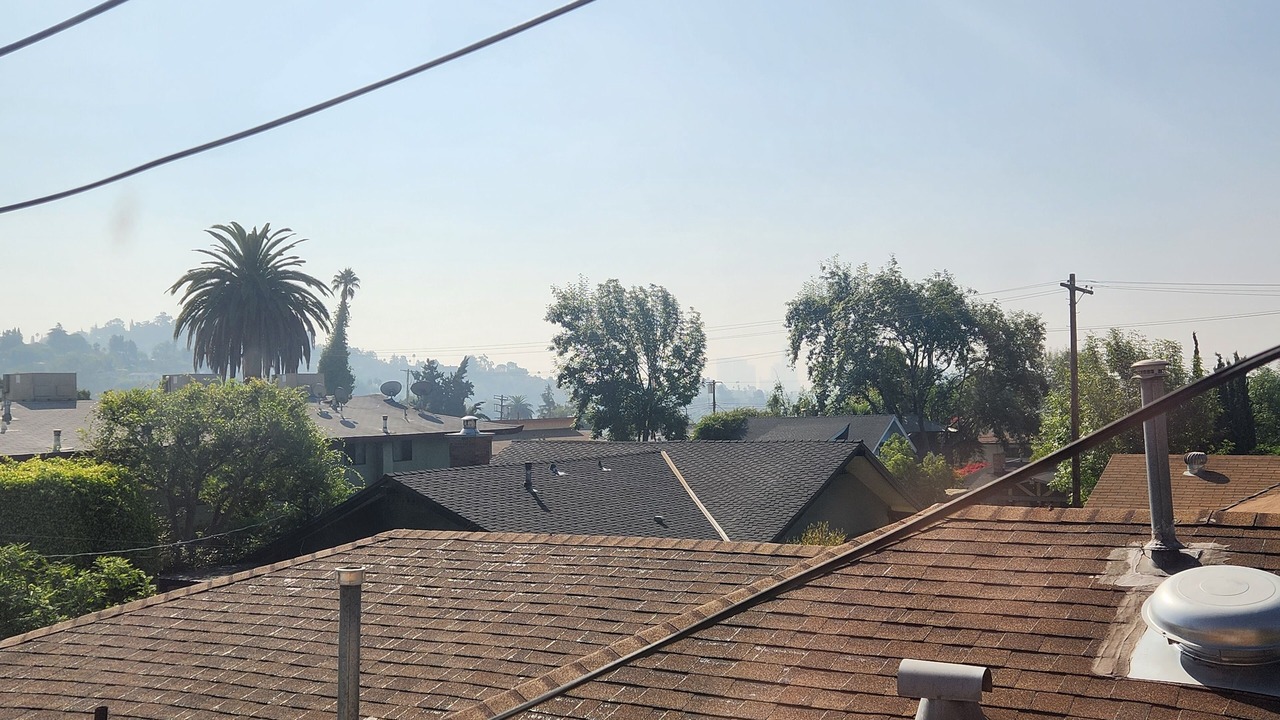 Photo of Others in Los Feliz