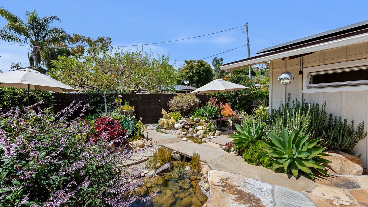Photo of Outdoor in West Mesa