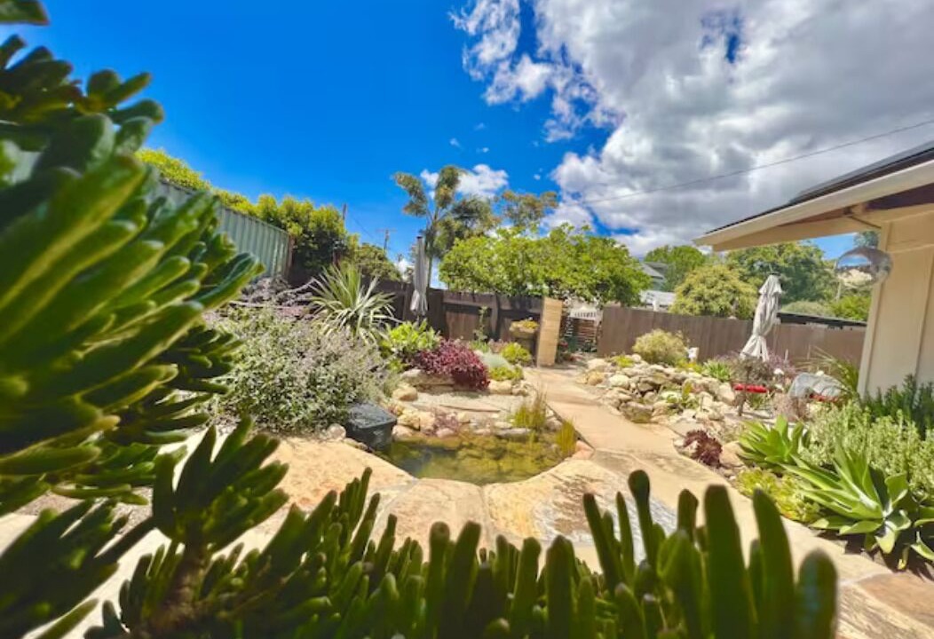 Photo of Outdoor in West Mesa
