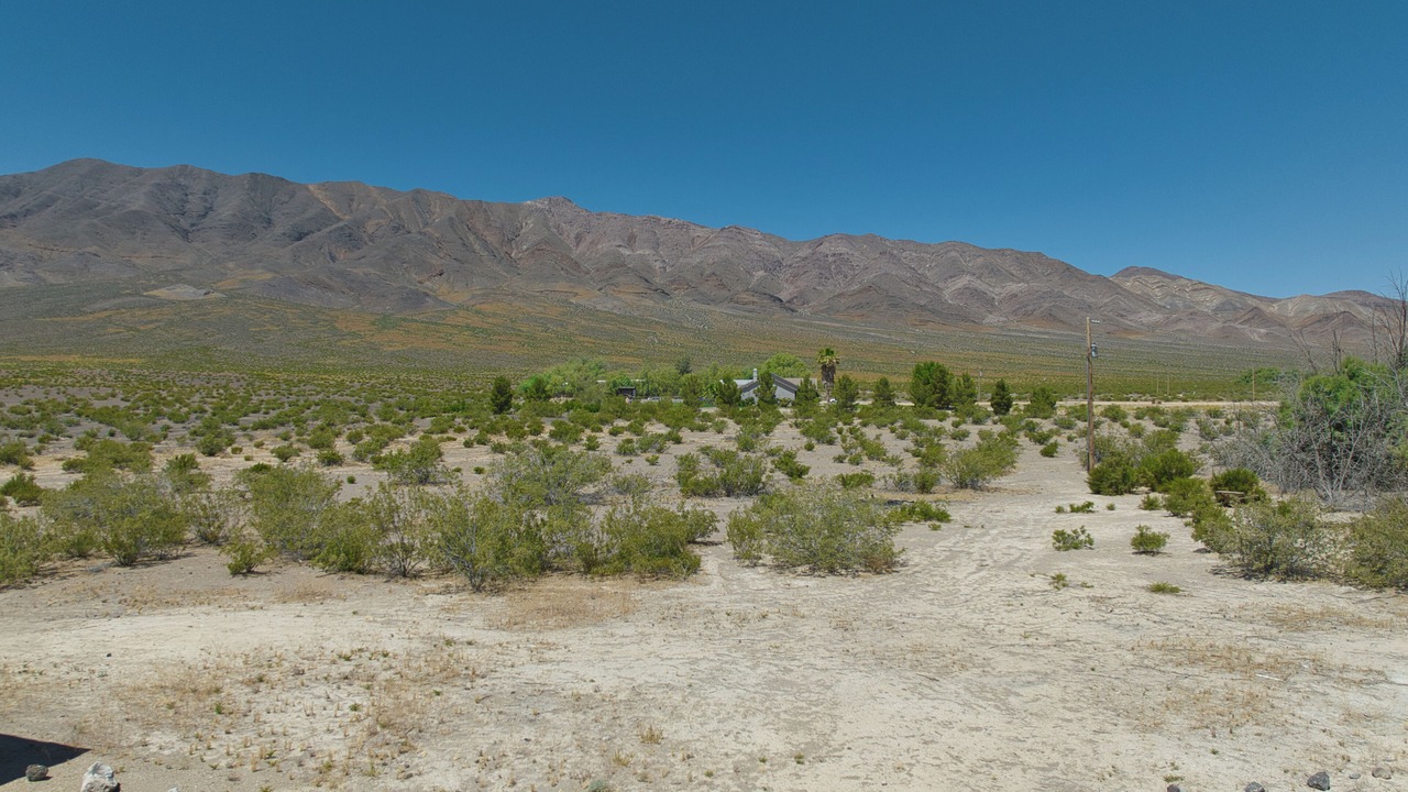 Photo of Others in Mojave Desert