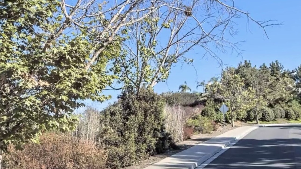 Photo of Outdoor in Sabre Springs