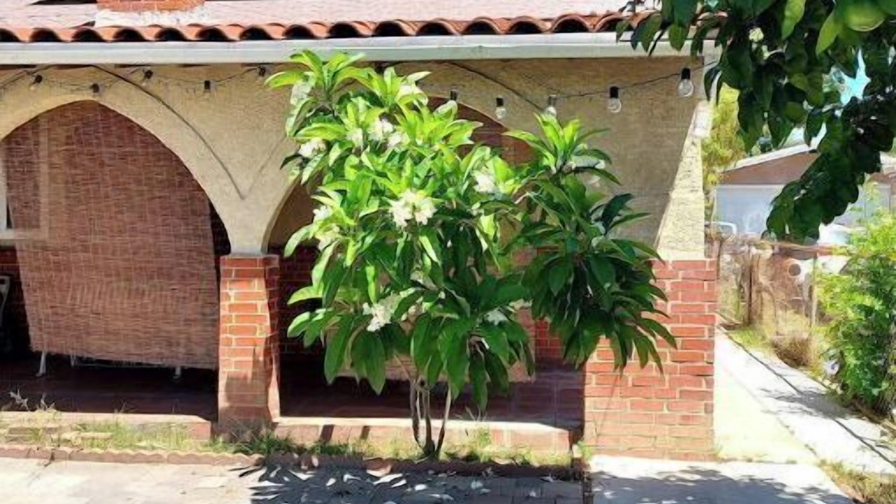 Photo of Outdoor in San Fernando