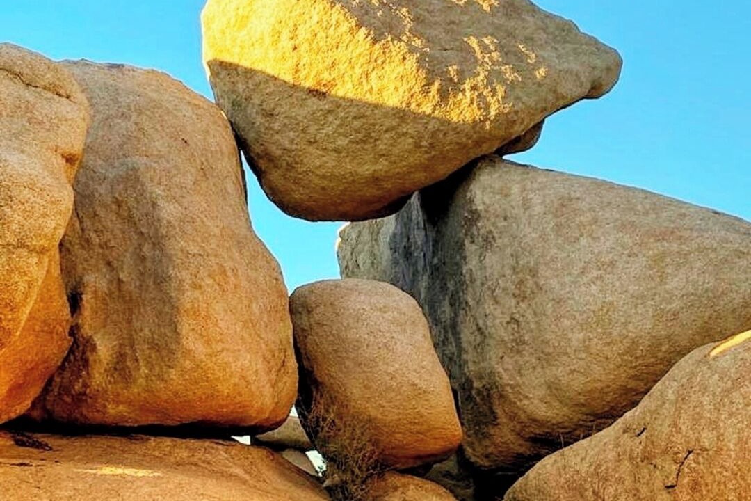 Photo of Others in Joshua Tree Highlands