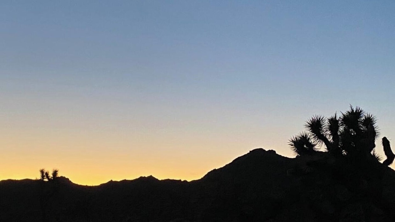 Photo of Others in Joshua Tree Highlands