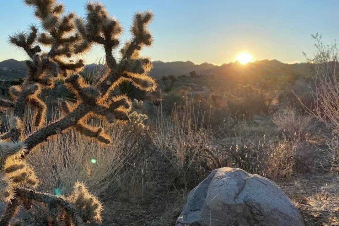 Photo of Others in Joshua Tree Highlands