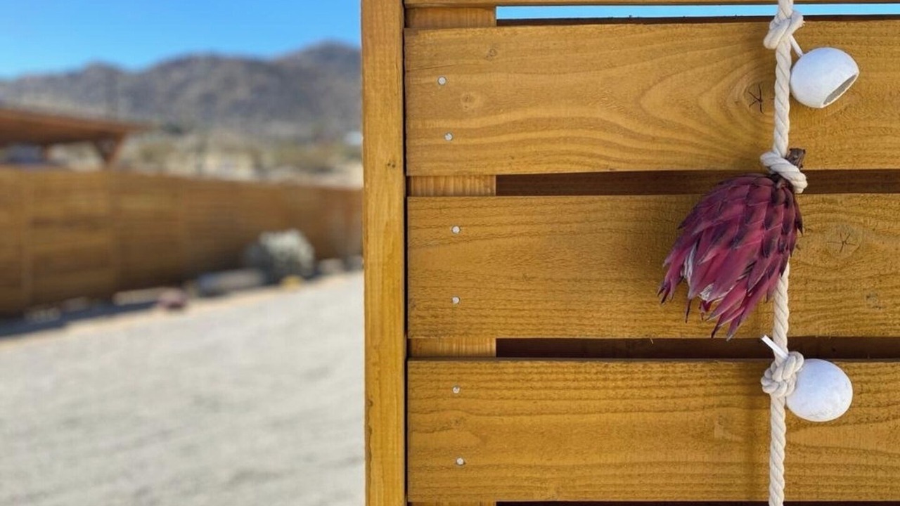 Photo of Others in Joshua Tree Highlands