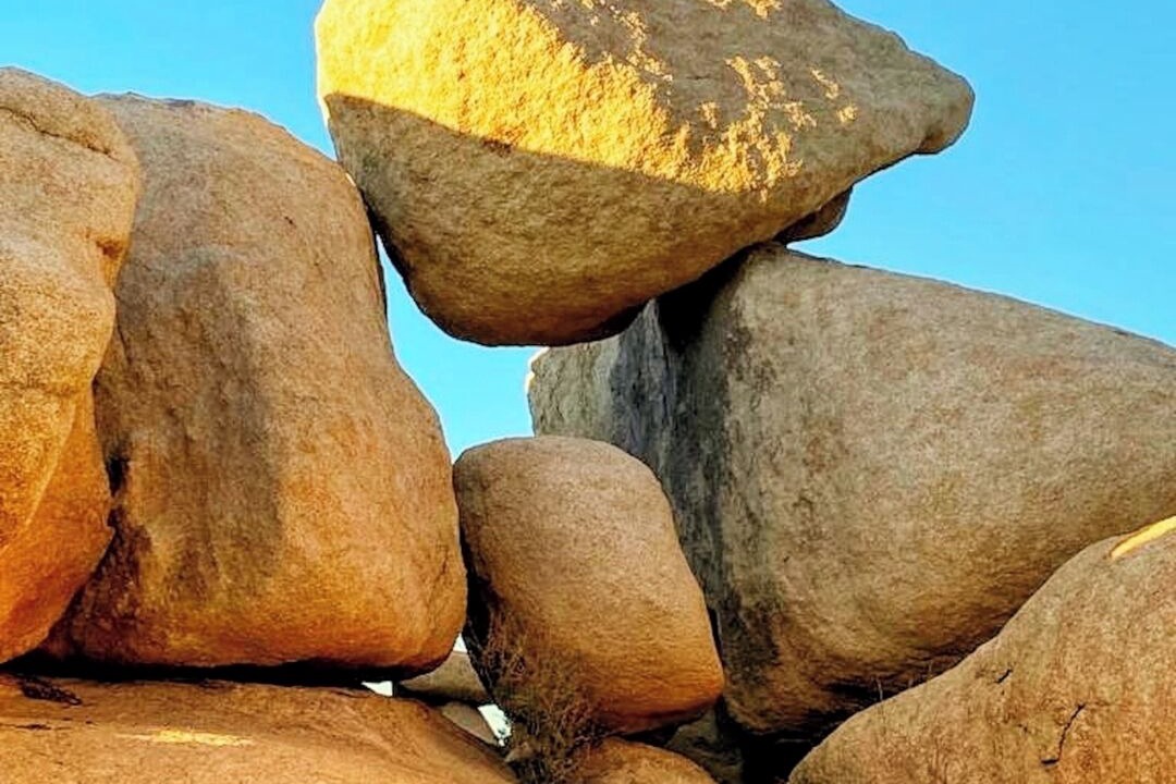 Photo of Others in Joshua Tree Highlands