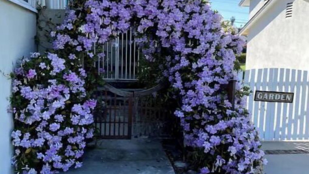 Photo of Outdoor in Whittier