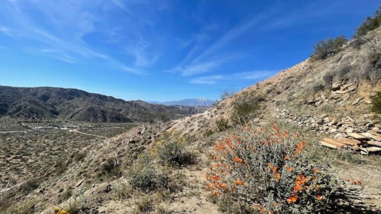 Photo of Outdoor in Morongo Valley