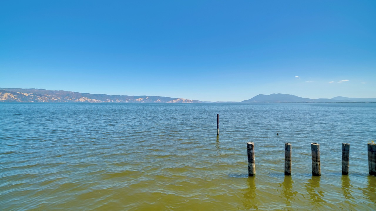 Photo of Others in North Lakeport