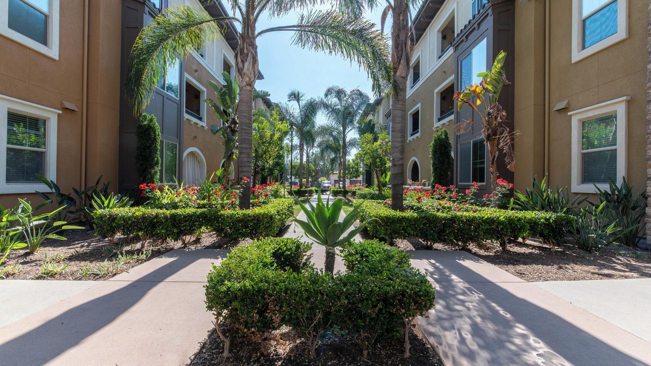 Photo of Outdoor in Camarillo