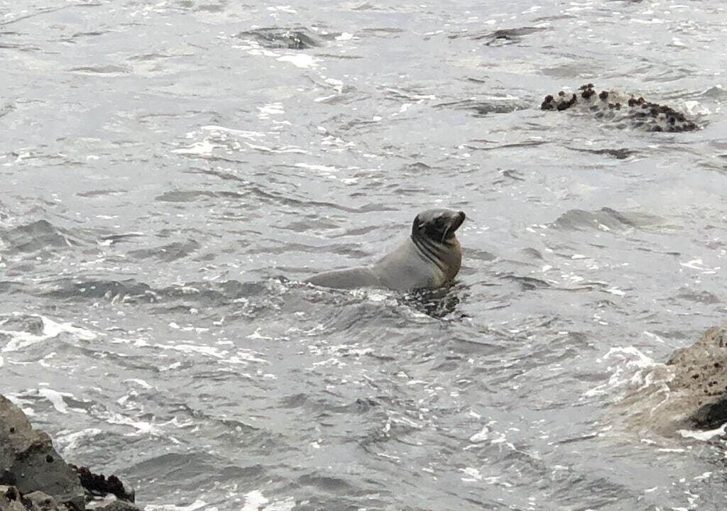 Photo of Others in Shelter Cove
