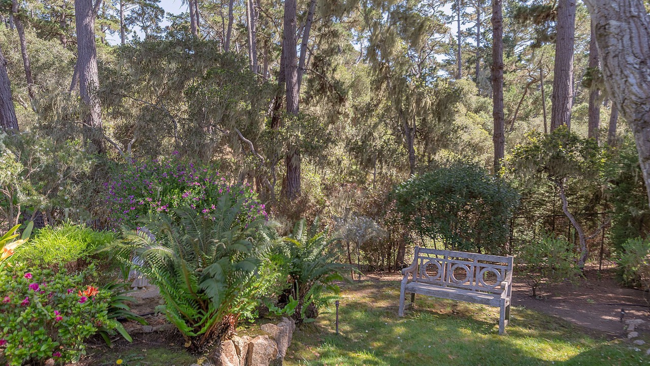 Photo of Others in Del Monte Forest