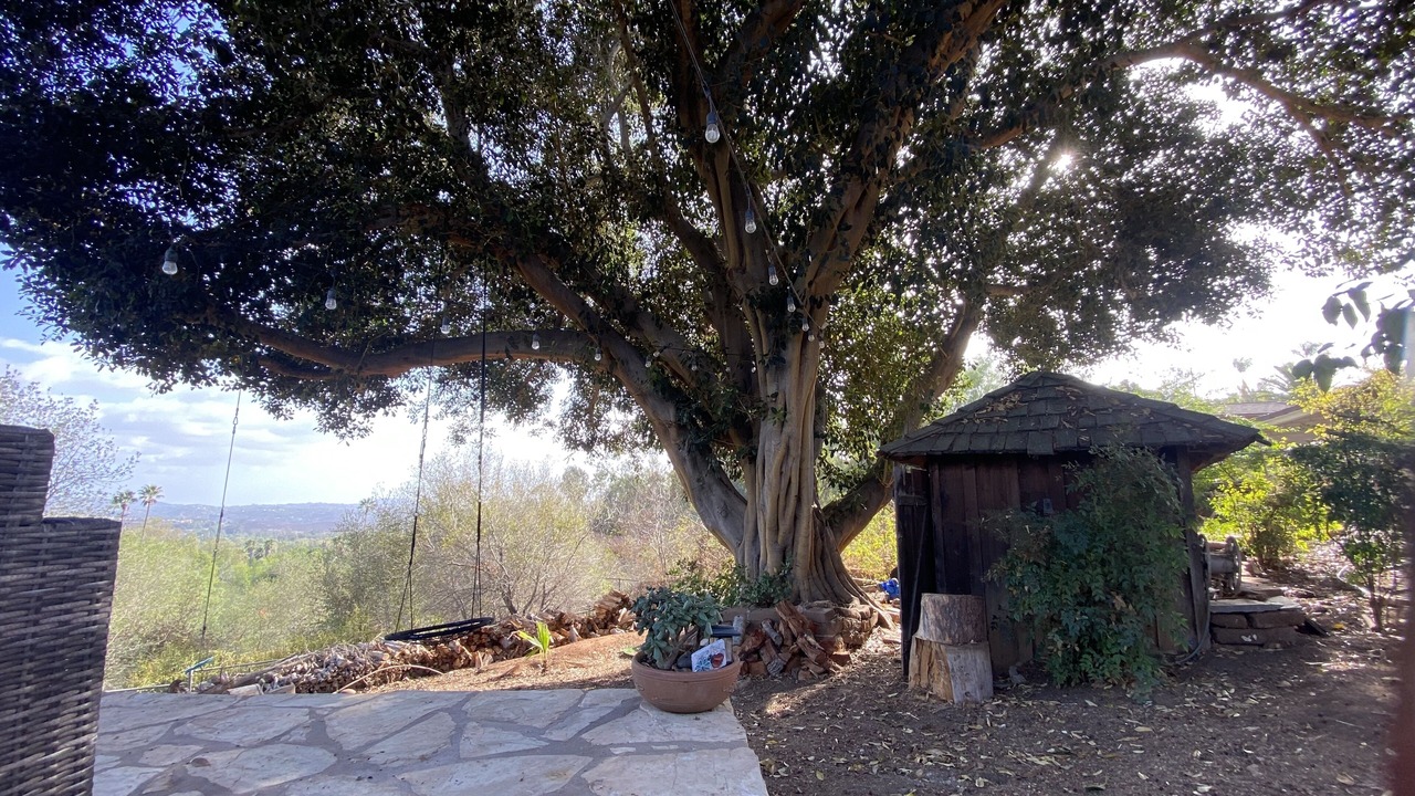 Photo of Outdoor in Kit Carson