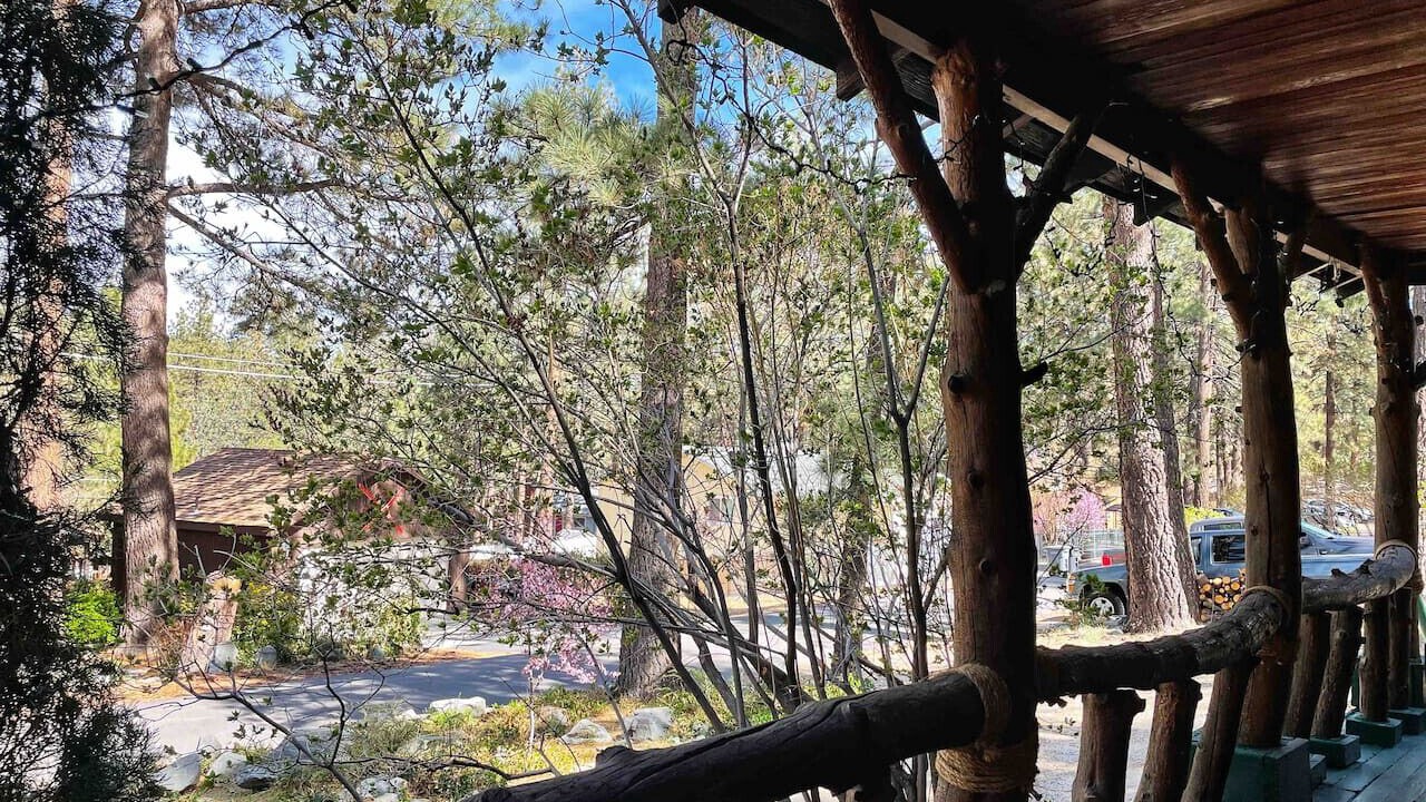 Photo of Others in Wrightwood