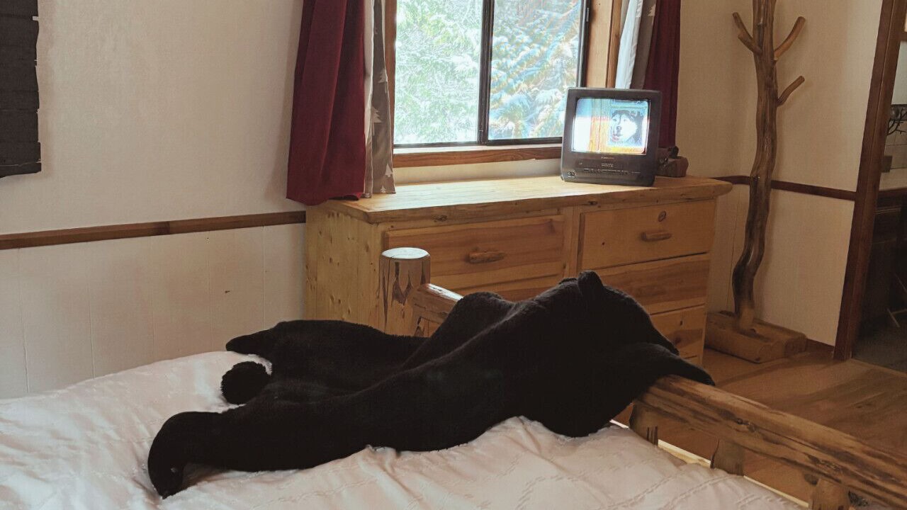 Photo of Bedroom in Wrightwood